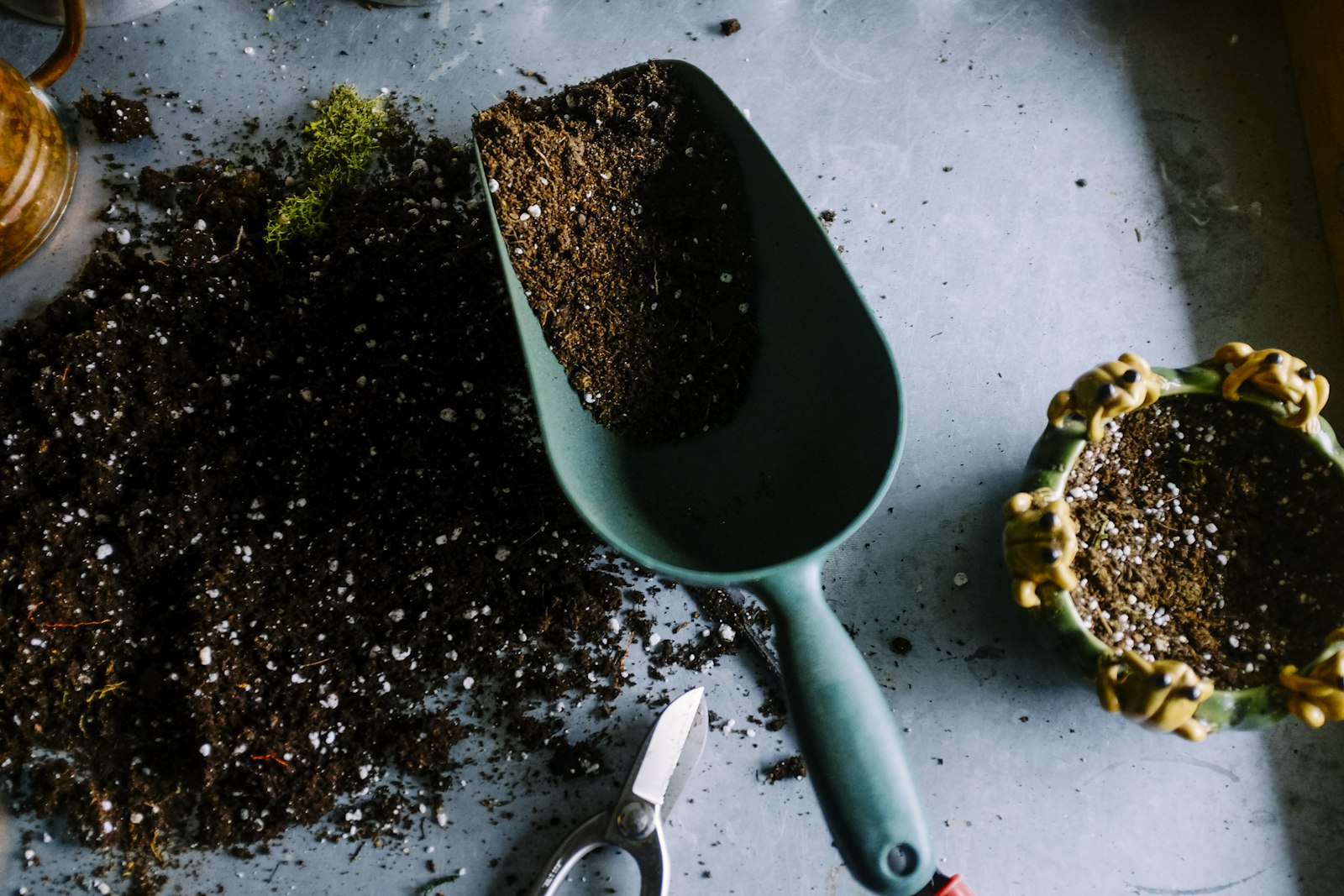 Gartenpflege und Grundstückspflege